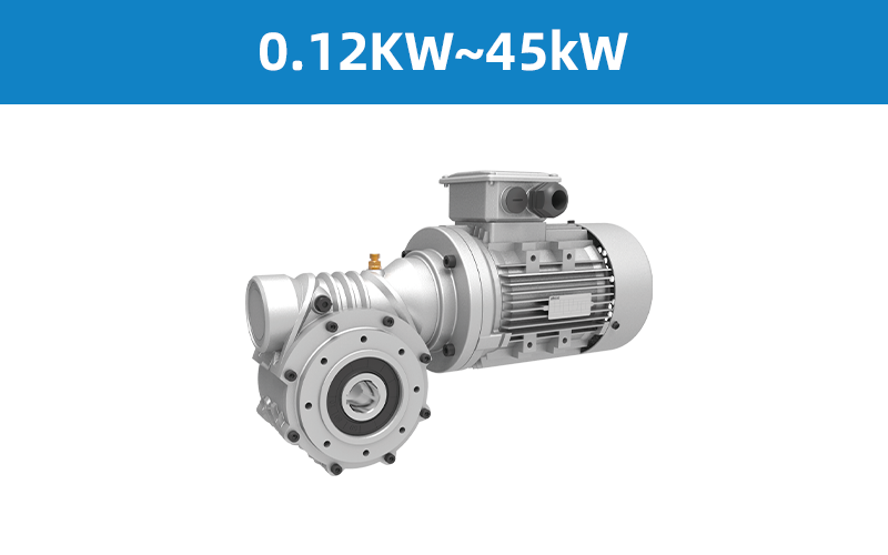 Boneng R Worm Gearmotor