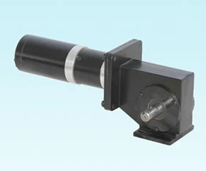 Dongzheng 90JW / 60JX / 60ZY Worm-Planetary Gearmotor