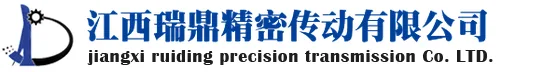 Ruiding Precision Transmission logo